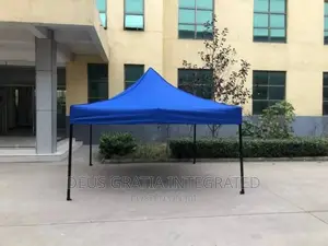 10 By 10 Gazebo Foldable Canopy Tent