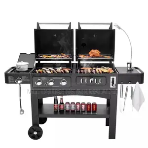 Professional Barbecue Griller (GAS AND CHARCOAL) BBQ Grill