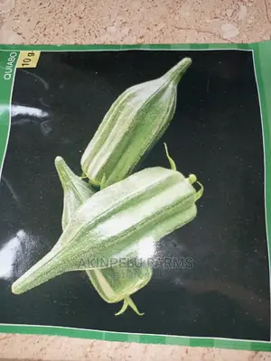 Hybrid Okro Seeds