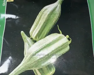 High Yielding Okro Seed.