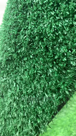 Best Synthetic Grass Carpets