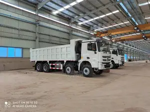 Brand New XCMG Dump Truck/Tippers