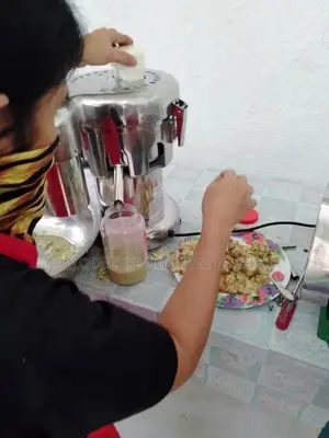 Industrial Kitchen Fruit Juicers (Electric) Juice Extractor