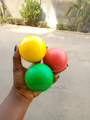 Hand Wrist Resistance Exercise Ball