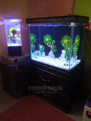 Fantastic Aquarium