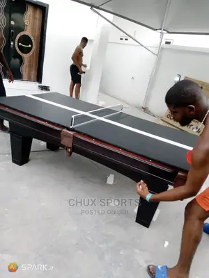 Snooker Board and Table Tennis 2in1