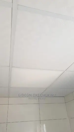 Suspended Ceiling and Gipson Board