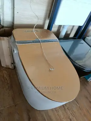 Sensor Golden Top Water Closet