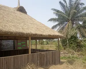 First Class Bush Bar Gazebo Hut