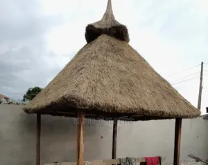 Future Bush Bar Gazebo Hut in Lagos