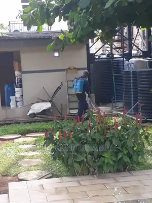 Cleaning And Fumigation Service