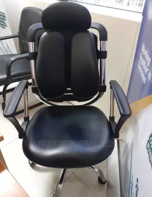 Office Chair (Orthopedic)