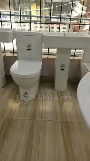 Modern Executive Ceramic Water Closet.