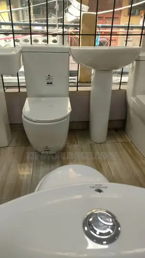 Executive Wc Set and Wash Hand Basin