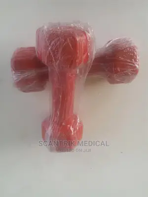 Plastic Dumbbells for Ladies Home Hand Weight Bodybuilding