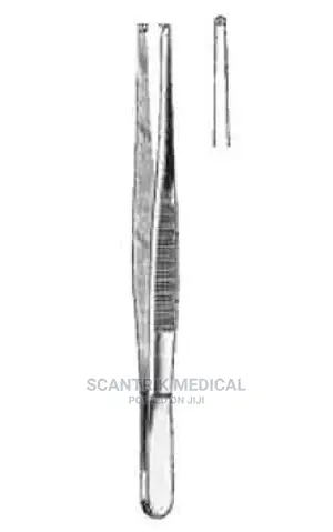 Gillies Dissecting Forceps, 15.5cm, Straight, 1×2 Teeth