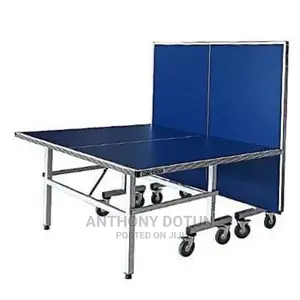 Pro Life Outdoor Table Tennis