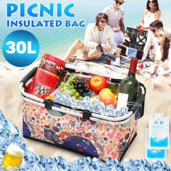 Picnic Insulated Shopping Bag