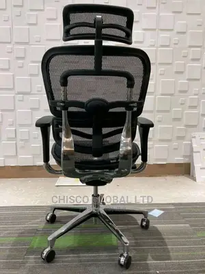 Office Chair (Orthopedic)