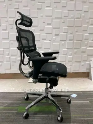 Office Chair (Orthopedic)