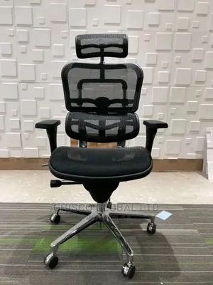 Office Chair (Orthopedic)