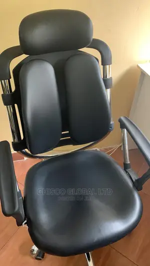 Office Chair (Orthopedic)