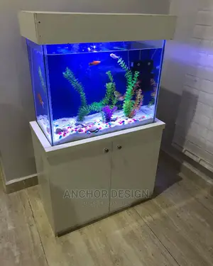2ft Aquarium Tank