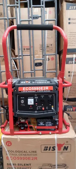 5.5kva Bison Silent Generator, 100% Copper With Remote