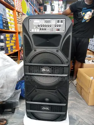 Pa System Double With Graphic Equalizer Big Battery