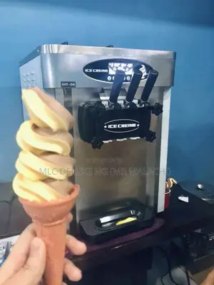 Fast Ice Cream Maker/Soft Serve Ice Cream Machine (Warranty)
