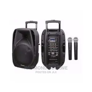Quality Speaker Wireless Amplifier