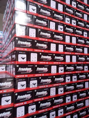 Freedom Craft Motor Battery