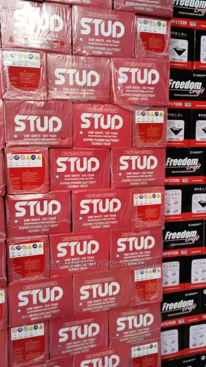 Diehard Quality Motor Batteries