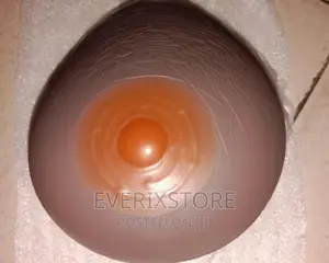 Artificial Breast