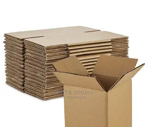 Packaging Box/ Carton