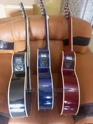 Semi Acoustic Electric Guitar