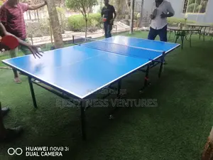 Outdoor Table Tennis Board