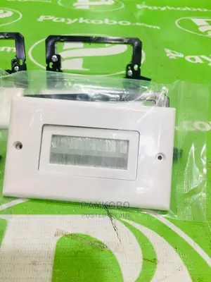 Lvi Brush 2 Gang Wall Plate