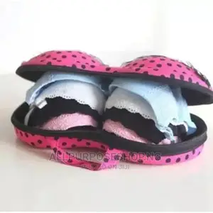 Bra Storage
