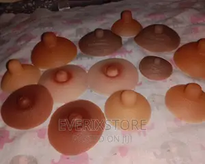 Artificial Nipple