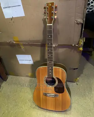 Professional/Quality Acoustic Guitar