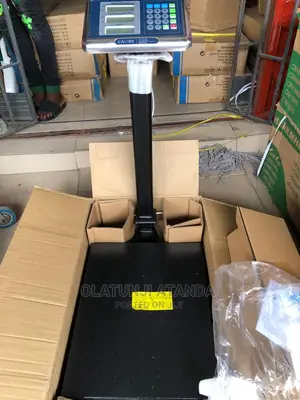 300kg Digital Platform Scale