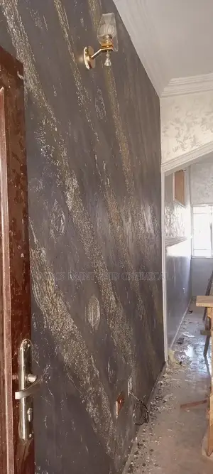 Painting and Wall Skimming