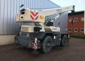 Fairly Use 30 Tons Terex Crane for Sale