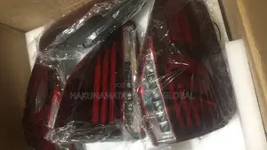 Complete Back Light for Rx350 2018 Model Convertion Type