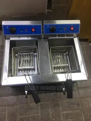 Stainless Steel Deep Fryer