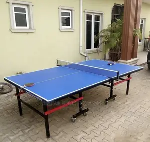 Brand New Table Tennis Board