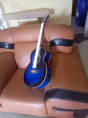 5 Band Equalizer Acoustic Electric Guitar