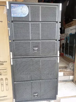 Line Array Professional Rechargeable Speaker Set