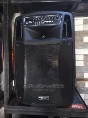 Quality Public Address System With 2pcs Wireless Mics